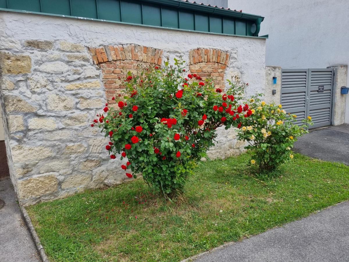 Ferienhaus Rado Winden am See エクステリア 写真